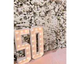 50 Marquee lights